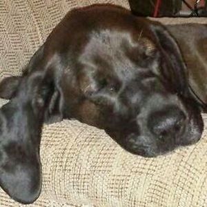 Meet your Posher, Karen